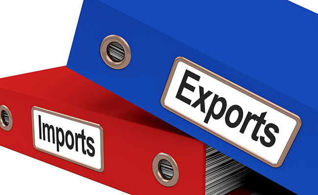 How To Get Import Export Code In Delhi?